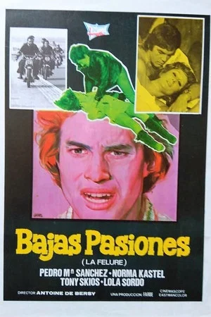 Постер: Bajas pasiones