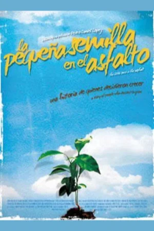 Постер: The Little Seed on the Asphalt