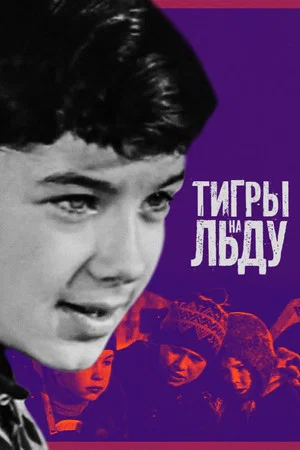 Постер: Тигры на льду