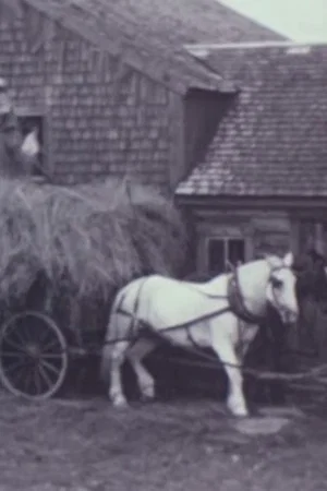 Постер: Windy Ledge Farm