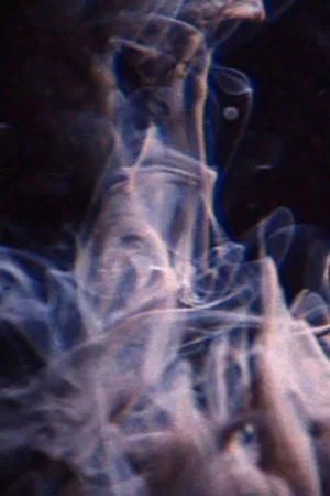 Постер: Awash
