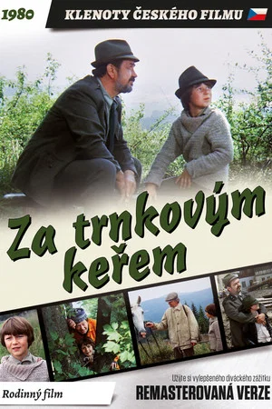 Постер: За кустами терновника