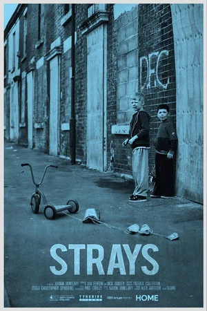 Постер: Strays