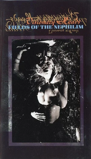 Постер: Fields of the Nephilim: Visionary Heads