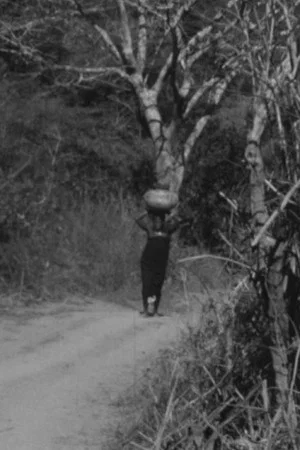 Постер: The Way to Nola's Farm