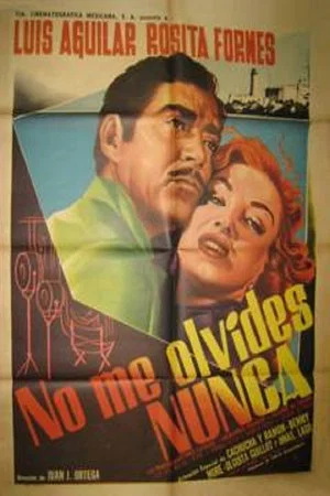 Постер: No me olvides nunca