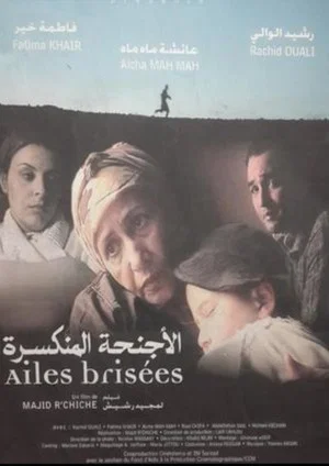 Постер: The broken wings