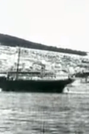 Постер: Port of Šibenik