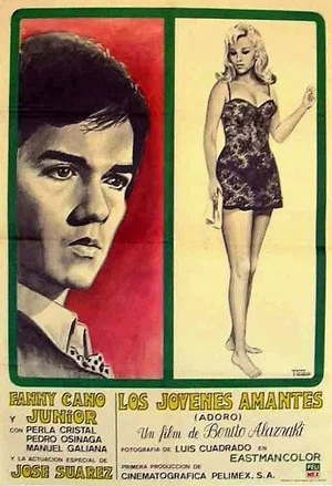 Постер: Los jóvenes amantes