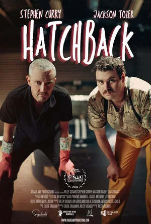 Постер: Hatchback