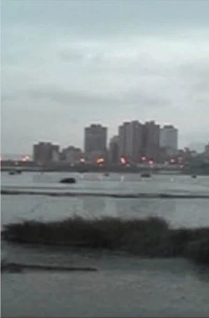 Постер: Moonlight in the River