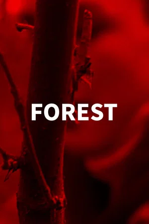 Постер: Forest