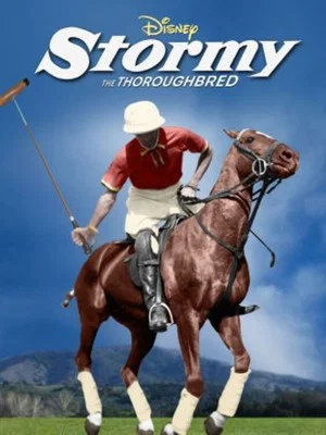 Постер: Stormy, the Thoroughbred