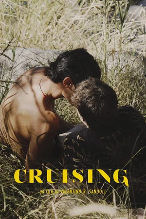 Постер: Cruising