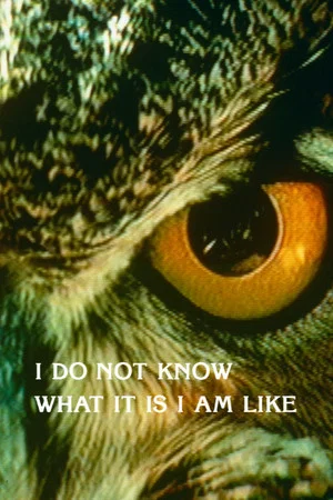 Постер: I Do Not Know What It Is I Am Like