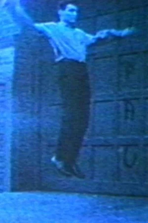 Постер: Vincent Gallo as Flying Christ