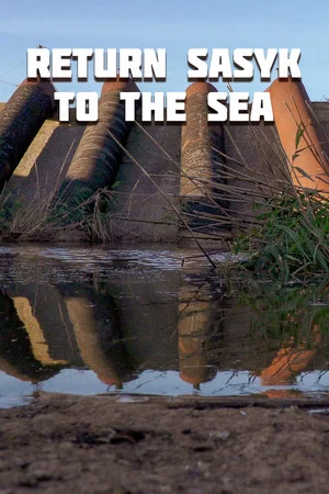 Постер: Return Sasyk to the Sea