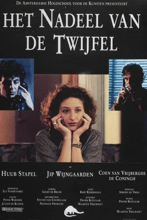 Постер: Het nadeel van de twijfel