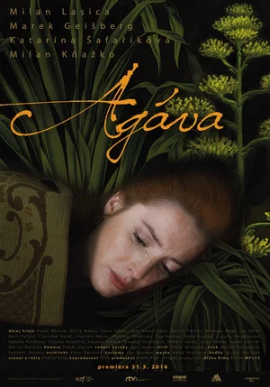 Постер: Agáva