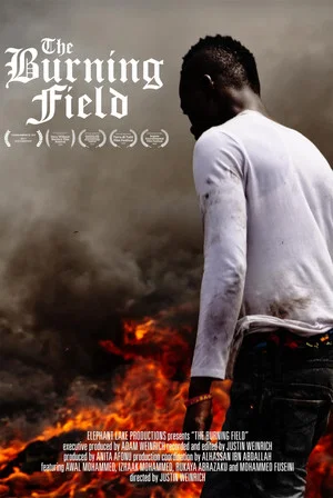 Постер: The Burning Field