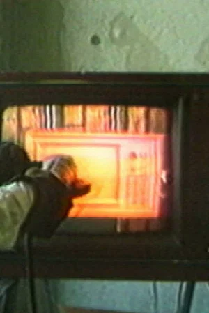 Постер: TV Drama