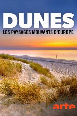 Постер: Dünen: Europas wandernde Landschaften