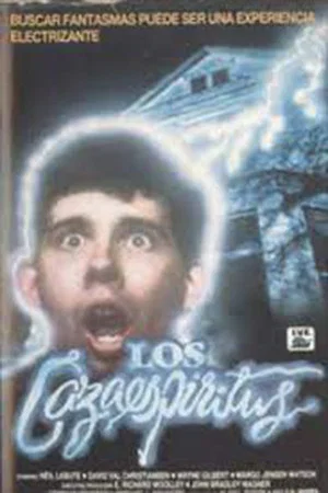 Постер: High School Spirits