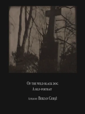 Постер: Of The Wild Black Dog