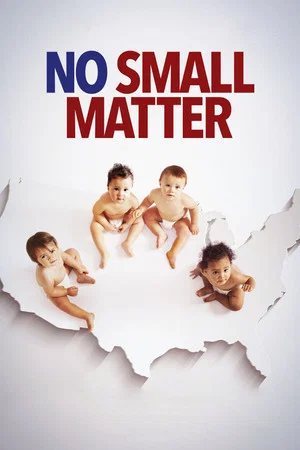 Постер: No Small Matter