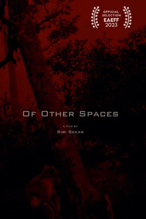 Постер: Of Other Spaces