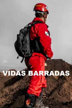 Постер: Vidas Barradas
