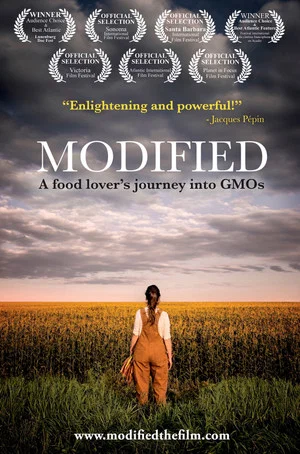 Постер: Modified