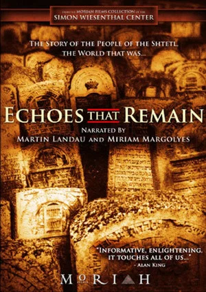 Постер: Echoes That Remain