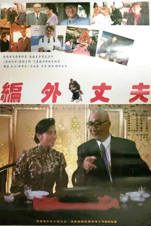 Постер: 编外丈夫