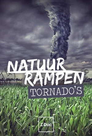 Постер: Natuurrampen: Tornado's