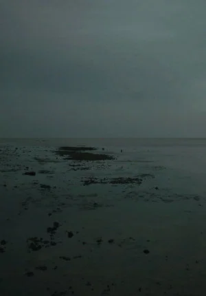 Постер: Meta Incognita: Missive II