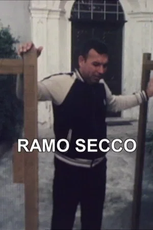 Постер: Zibaldino 86 Ramo secco