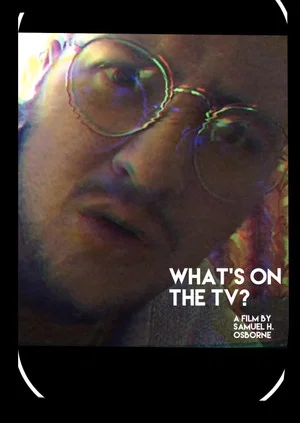 Постер: What's on the TV?