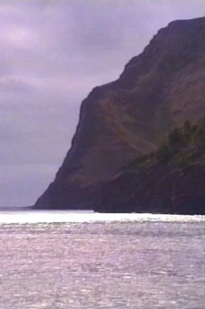 Постер: L'isola di Robinson Crusoe