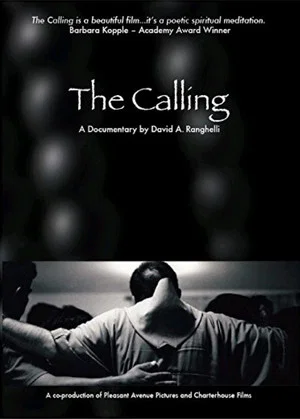 Постер: The Calling