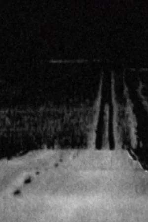 Постер: Carte noire
