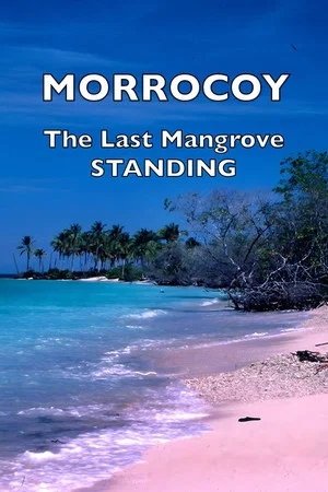 Постер: Morrocoy: The Last Mangrove Standing
