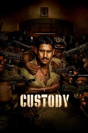 Постер: Custody