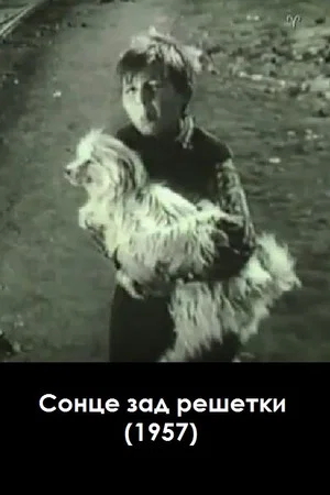 Постер: A Sun Behind Bars