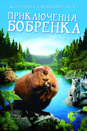 Постер: Приключения бобрёнка