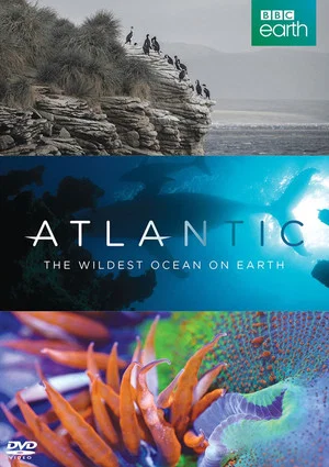 Постер: Atlantic: The Wildest Ocean on Earth