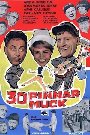 Постер: 30 pinnar muck