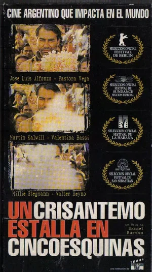Постер: Un crisantemo estalla en cinco esquinas