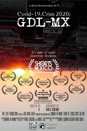 Постер: COVID 19 Crisis 2020 GDL-MX