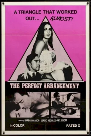 Постер: The Perfect Arrangement